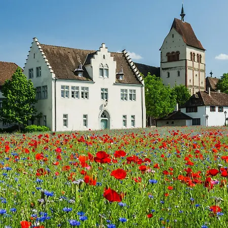 Blaupause Mit Seezugang Und Wiese Zum Entspannen Апартаменты Райхенау