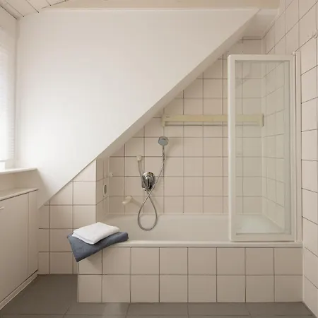 Blaupause Mit Seezugang Und Wiese Zum Entspannen Appartement Île de Reichenau