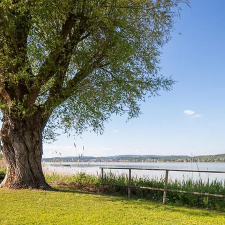 Blaupause Mit Seezugang Und Wiese Zum Entspannen