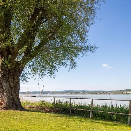 Blaupause Mit Seezugang Und Wiese Zum Entspannen *